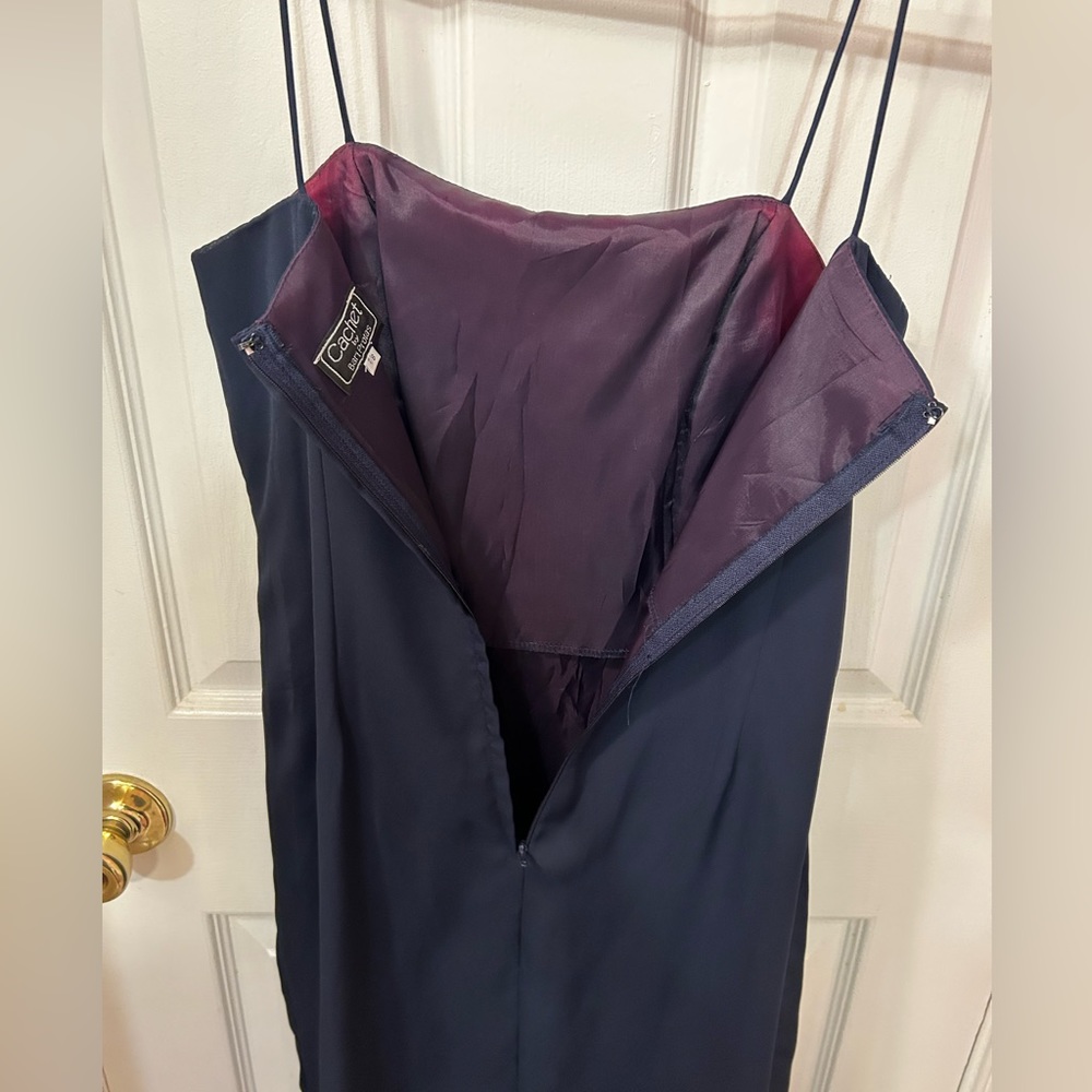 Cachet by Bari Protas dress - Picture 8 of 8